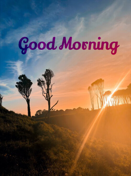 Beautiful Good morning pictures